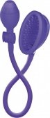  Silicone Clitoral Pump - Purple    -   !         ,    .  ,     .