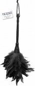  ff frisky feather duster black -   !         ,    .  ,     .