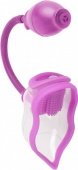  Perfect Touch Vibrating Pump - Purple -   !         ,    .  ,     .